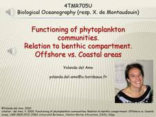 Phytoplankton Ecology Y. del Amo (1/2) - 4TMR705U - Master MER 2022