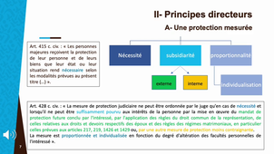 Prépa ENM civil 2.7.1 - Contexte et principes directeurs de la protection des majeurs