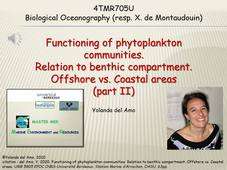Phytoplankton Ecology Y. del Amo (2/2) wmv - 4TMR705U - Master MER