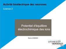 L'équilibre électrochimique des ions