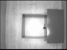 LD 5622.avi