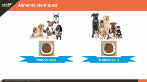 Tests bi- et unilatéraux