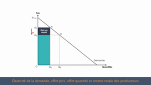 Elasticité de la demande et recette totale des producteurs