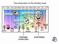 Course 1 (Fluorescence - Imagery)