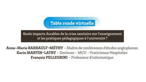 video 7 - Table ronde virtuelle