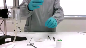 motilité intestinale-montage du tissu