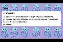 TUTORAT Semaine 47 (Code : 2022-SDV1)