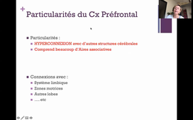 L3 UE2 neuropsychologie - Partie2-SyndFrontaux