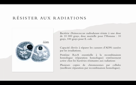 Enregistrement TUTORAT UE3 - 20230216