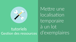 [Notice exemplaire] Mettre localisation temporaire par lot