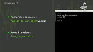 Séquence 2 - Constructions syntaxiques