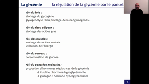 endocrinologie, partie 2