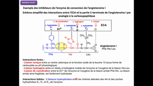 Partie 16 - Quelques succès - FIN