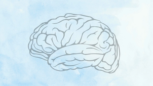 Impact des émotions 2