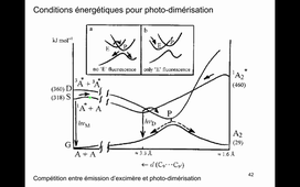 Cours-NO-Del Guerzo-9Mars2021