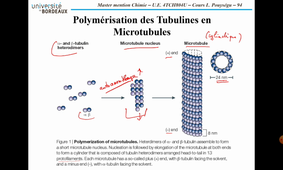 Chimie Med. - Cours LP #7 (10/03/2021)