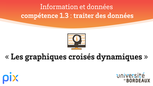 PIX - Compétence 1.3 - Graphiques croisés dynamiques