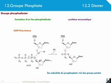 12_Groupe Phosphate