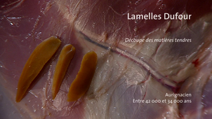 LAMELLES DUFOUR_VF.mp4