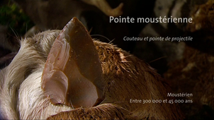 POINTE MOUSTERIENNE_VF.mp4
