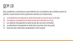 TUTORAT Semaine 12 (Code : 2022-SDV2)