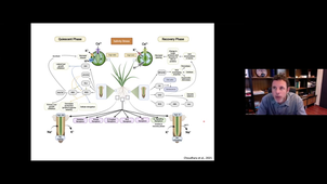 J O'Brien's lecture October 11 2024 UE PCME.mp4