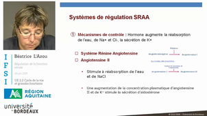 UE 2.2 - Système urinaire et rénal (2/3) : La régulation de la fonction rénale