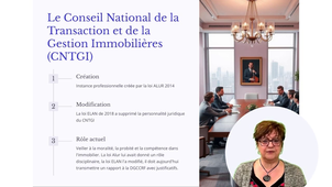 LOI Hoguet -Episode 1- .mp4