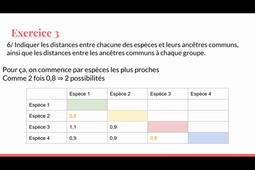 Enregistrement TUTORAT SEMAINE 44