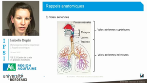 UE 2.2 - Physiologie du système respiratoire (1/3) : Rappels anatomiques