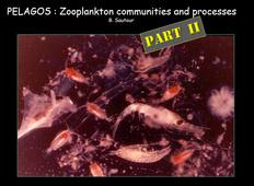 Zooplankton Ecology (Y. del Amo) B. Sautour (2/3) - 4TMR705U - Master MER