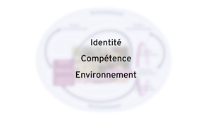 MOH_Capsule_7_-_Adaptation_occupationnelle-2023