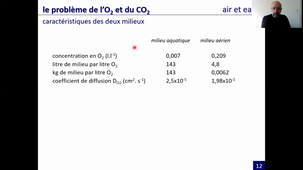 le système respiratoire (L6-1)
