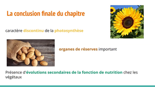 Enregistrement TUTORAT UE4 - 20230223