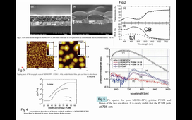 AppliedNano-Del Guerzo-Class-Oct16