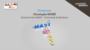 MAPI DAY PEDAGO3D Introduction C. Roiné