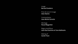 BURIN SUR TRONCATURE_VF.mp4