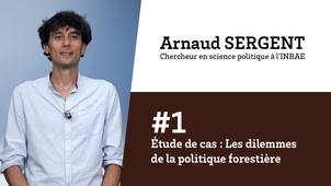 Étude de cas - # 1 Les dilemmes de la politique forestière