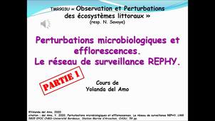 Perturbations microbiologiques_Y.delAmo_2020_part1