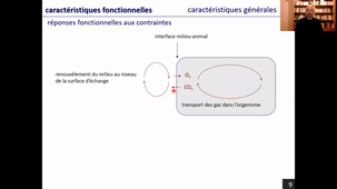 Les appareils respiratoires