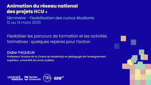 Flexibiliser les parcours de formation et les activités formatives : quelques repères pour l'action par Didier Paquelin