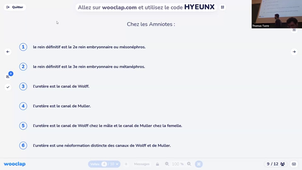 TUTORAT SDV2 06.03.mp4