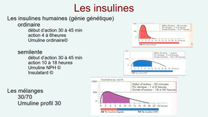 Insulines et analogues de l'insuline
