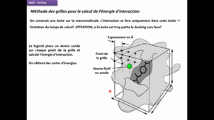 Partie 12 - SBDD - Docking & scoring