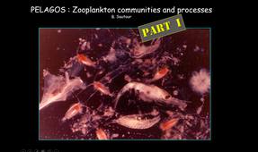 Zooplankton Ecology (Y. del Amo) B. Sautour (1/2) - 4TMR705U - Master MER