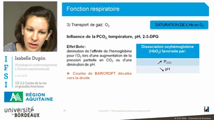 UE 2.2 - Physiologie du système respiratoire (3/3) : Fonction respiratoire du poumon (transport des gaz)