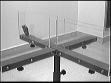 140226_58.avi