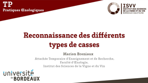 Reconnaissances des différents types de casses