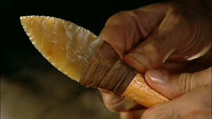 PETITE FEUILLE DE LAURIER_VF.mp4