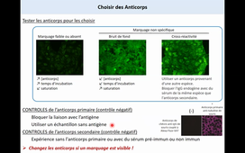 2022 09 20 Capsule vidéo 1